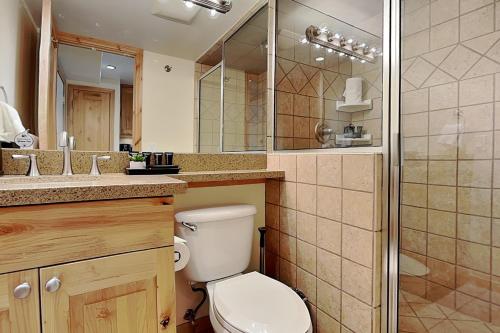 a bathroom with a toilet and a sink and a shower at Timberline Condominiums Studio Deluxe Unit 217 in Snowmass Village