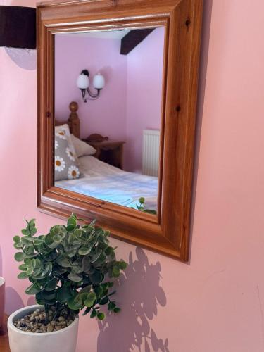 a mirror hanging on a wall with a potted plant at Brynderwen Barn in Llangorse