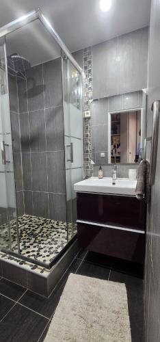 a bathroom with a shower and a sink at Le calme ensoleillé in Paris