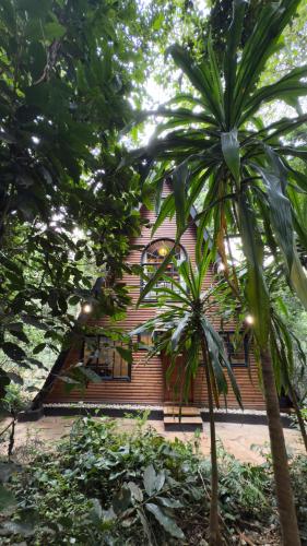 Kivulini A-Frame Cabin Forestにある庭