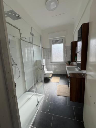 a bathroom with a shower and a toilet and a sink at Apartment in Niederdorla