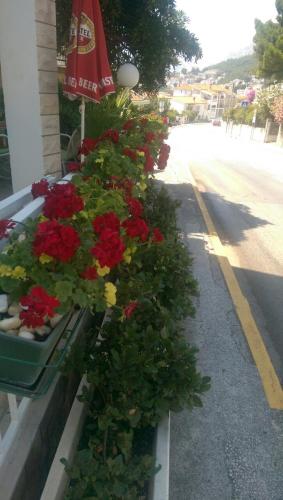 a row of flowers on the side of a building at KUĆA ŠKRABIĆ in Baška Voda