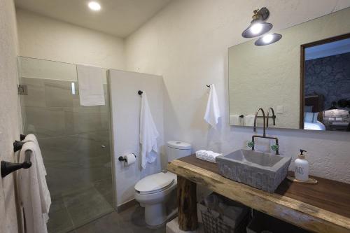 a bathroom with a sink and a toilet and a shower at Anae en ValQuirico in Santeagueda