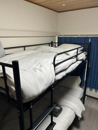 two bunk beds in a room with blue walls at Sirius AMA - Vacation STAY 20068 in Tsukuba