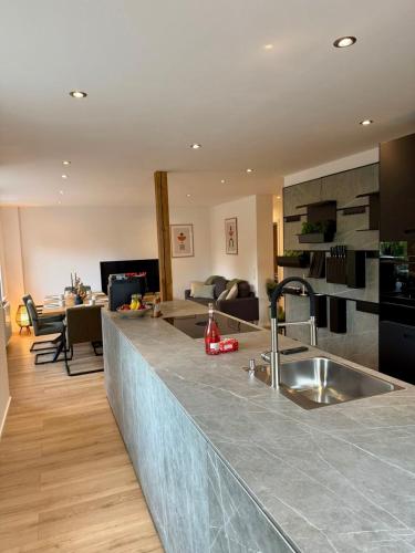 a kitchen with a sink and a living room at Lupi Grey - stylish und luxury Apartment in Buchen