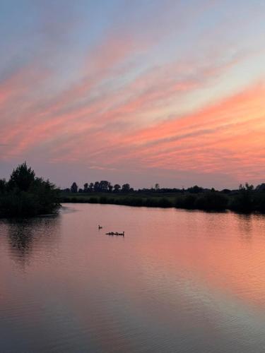 a couple of ducks in a lake at sunset at Schloss Krugsdorf Golf & Hotel in Krugsdorf