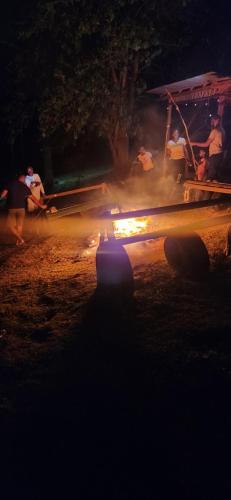 a group of people sitting around a fire at night at Fern Forest Eco Village in Ocho Rios