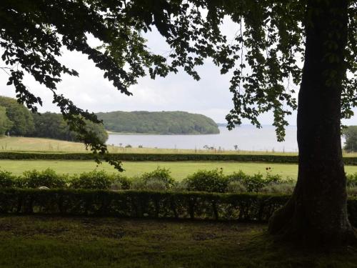 a view of a field and a lake from a tree at 6 person holiday home in Roslev in Roslev