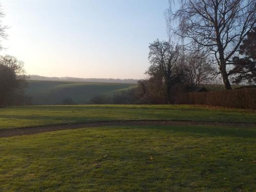 a field of grass with a tree in the distance at 6 person holiday home in Roslev in Roslev