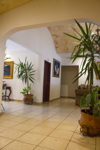 a living room with two potted plants on the floor at Villa Fontana Nesthost Stays in Managua