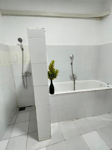 a white bathroom with a tub and a plant in a vase at Zanzllywood Uroa Beach Suites Hotel Apartment in Dikoni