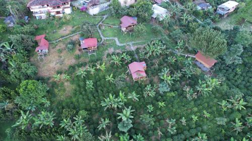 an overhead view of a house with trees and bushes at Glamping La Sucursal del Cielo in Támesis