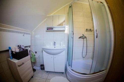 a small bathroom with a shower and a sink at Apartments with parking space Tuheljske Toplice, Zagorje - 24875 in Tuheljske Toplice