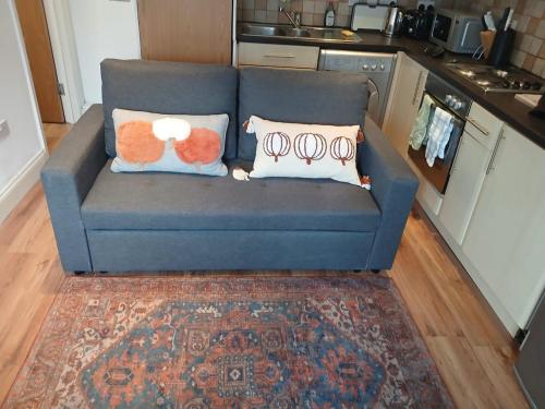 a blue couch with two pillows on it in a kitchen at Stylish Flat on Cowley a Walk to Oxford Centre in Oxford