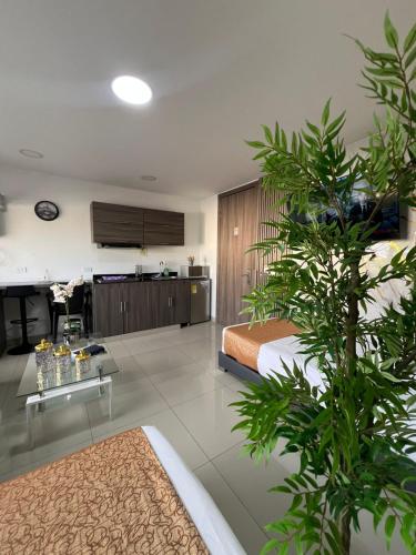 Cucina o angolo cottura di Aparta Suites la Flora Flora-Piscina-Jacuzzi