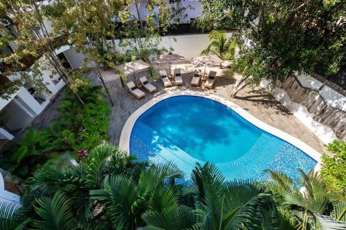 an overhead view of a swimming pool with chairs and trees at 18-Bed 9BD Hotel Villa - Pool & Kitchen - Full Concierge in Tulum
