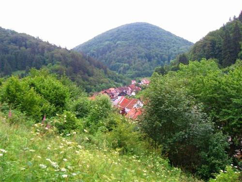 a view of a village in the middle of a mountain at Einfamilienhaus in Zorge in Zorge