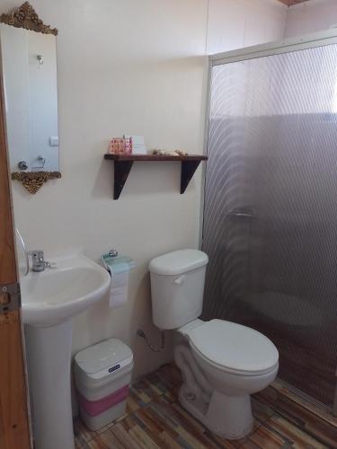 a bathroom with a toilet and a sink and a shower at Cabaña Puipuyen Yerbas Buenas 