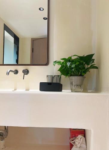 a bathroom sink with a mirror and a plant on a shelf at The Lake View Deyishe Resort in Thousand Island Lake in Thousand Island Lake