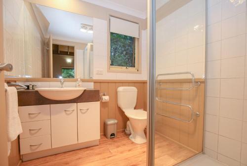 a bathroom with a toilet and a sink and a shower at Autumn Leaf Cottage 2 in Harrietville