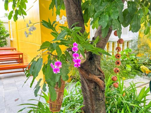 Κήπος έξω από το Piseth Private Villa Hotel