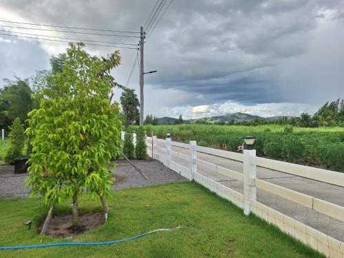 a tree in a yard next to a white fence at บ้านน้ำผึ้งโฮมสเตย์ in Suan Phung