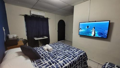 a bedroom with a tv hanging on the wall at Blue Lion Lodge in Juayúa