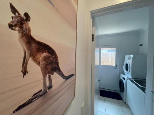 a kangaroo on the wall of a room at Tropical Ocean Vibe Fully Aircon House in Strathpine