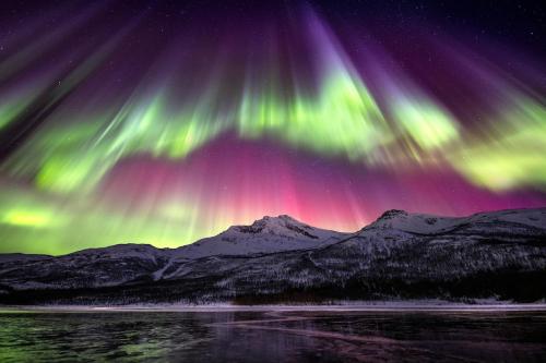 an image of the northern lights in the sky at Narvik city apartment in Narvik