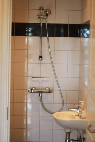 uma casa de banho com um chuveiro e um lavatório. em Stege Nor em Stege