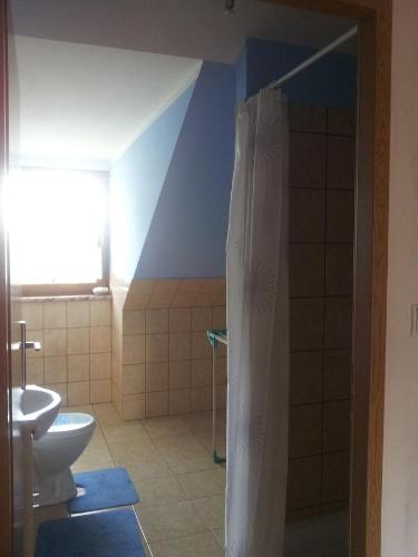 a bathroom with a shower and a toilet at Der kleine Bauernhof keine Arbeiter zadnych pracownikow in Lubiatow
