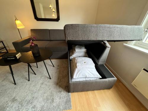 a loft bed in a room with a couch and a table at Central trainstation apartment in Narvik