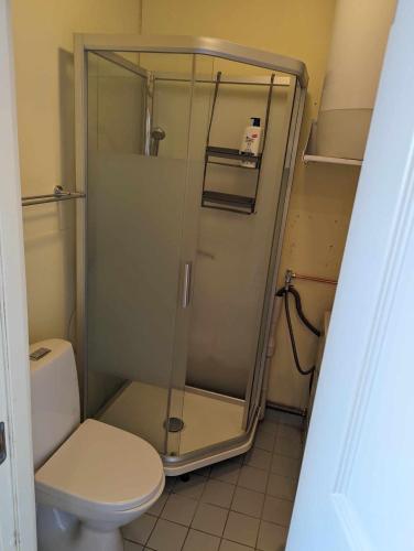 a bathroom with a toilet and a glass shower at Railside Track Apartment OJ1-2 in Narvik