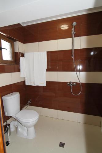 a bathroom with a toilet and a shower at Villa Hills - къща за гости с храна in Orlino