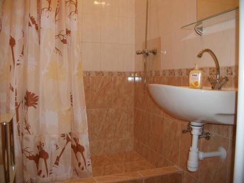 a bathroom with a sink and a shower at Éden II. in Miskolctapolca