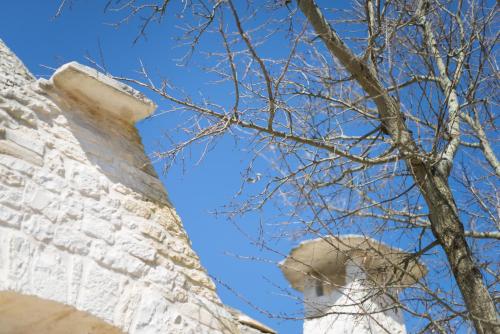 a tree and a building with a blue sky in the background at Le Dieci Porte in Alberobello