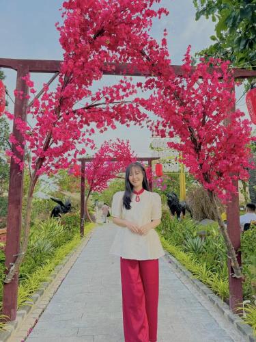a woman standing under pink flowers on trees at Cafe cắm trại Đồng Gió Phước Hải in Xã Long Mỹ