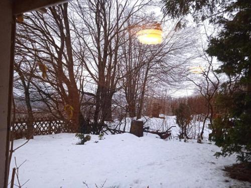 a snow covered yard with trees and a fence at Einfamilienhaus in Zorge in Zorge
