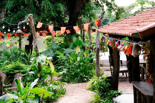 Κήπος έξω από το The Hive Hostel - Tam Coc