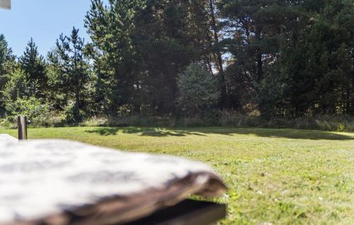 a rock in a field of grass with trees at Holiday Home Kærhøgen Rømø Denm in Rømø Kirkeby