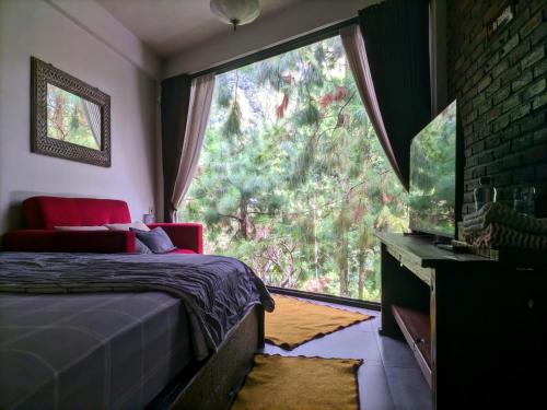 a bedroom with a bed and a large window at Omah kayu bromo in Ngadisari