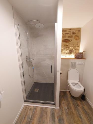 a bathroom with a shower and a toilet at Petite maison à la campagne in Ploudaniel