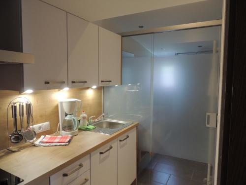 a kitchen with a sink and a mixer on a counter at Pension Winnebach in Längenfeld