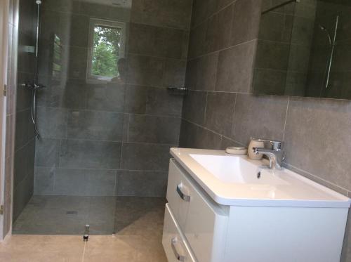 a bathroom with a sink and a shower at Maison de Luciné in Combourg