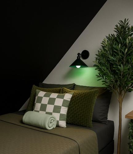 a room with a couch with a plant and a lamp at Atelier de Lisa in Forbach