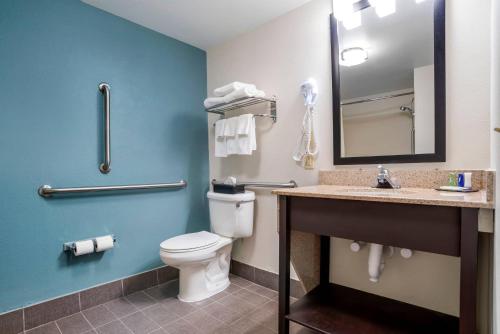a bathroom with a toilet and a sink and a mirror at Sleep Inn & Suites Auburn Campus Area I-85 in Auburn