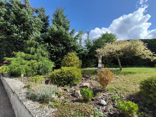 Zahrada ubytování Ferienhaus Kampen
