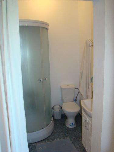 a bathroom with a toilet and a sink at Han in Selʼtso