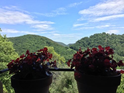 two potted plants with mountains in the background at Mas Pardas in Santa Pau