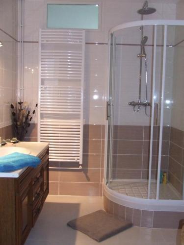 een badkamer met een douche en een wastafel bij chambre d'hôtes du Valvion in Beauquesne